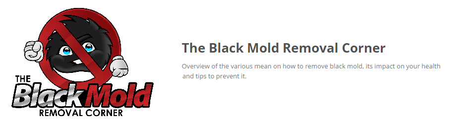 Black Mold Removal Corner